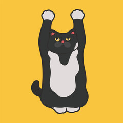 Hands in the Air Cat Meme Sticker T-shirt Vector Cute Illustration