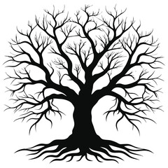 Obraz premium Silhouette Tree with Bare Branches and Extensive Root System on White Background