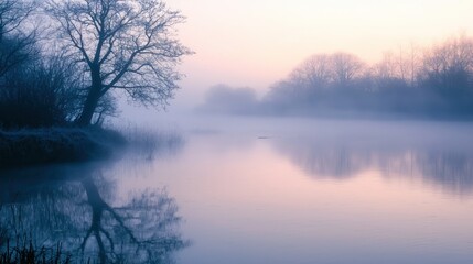 Fototapeta premium Misty mornings creating a mystical aura. Stock photo --ar 16:9 --quality 2 --style raw --v 6.1 Job ID: 2cf124d0-d63e-48de-8d6c-7d41510d34a9