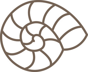Nautilus Shell Line Art