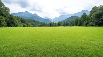 Obraz premium A serene green meadow with lush grass extending towards a backdrop of majestic mountains, cloudy sky, and natural landscape composition.