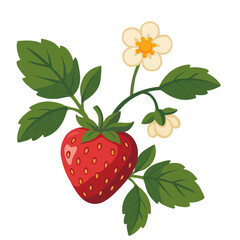 Erdbeere Erdbeerpflanze Walderdbeere 