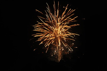 fireworks in the night sky