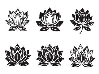 Water lily black line art on white background