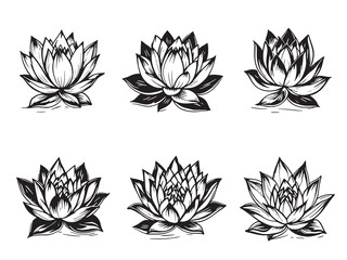 Water lily black line art on white background