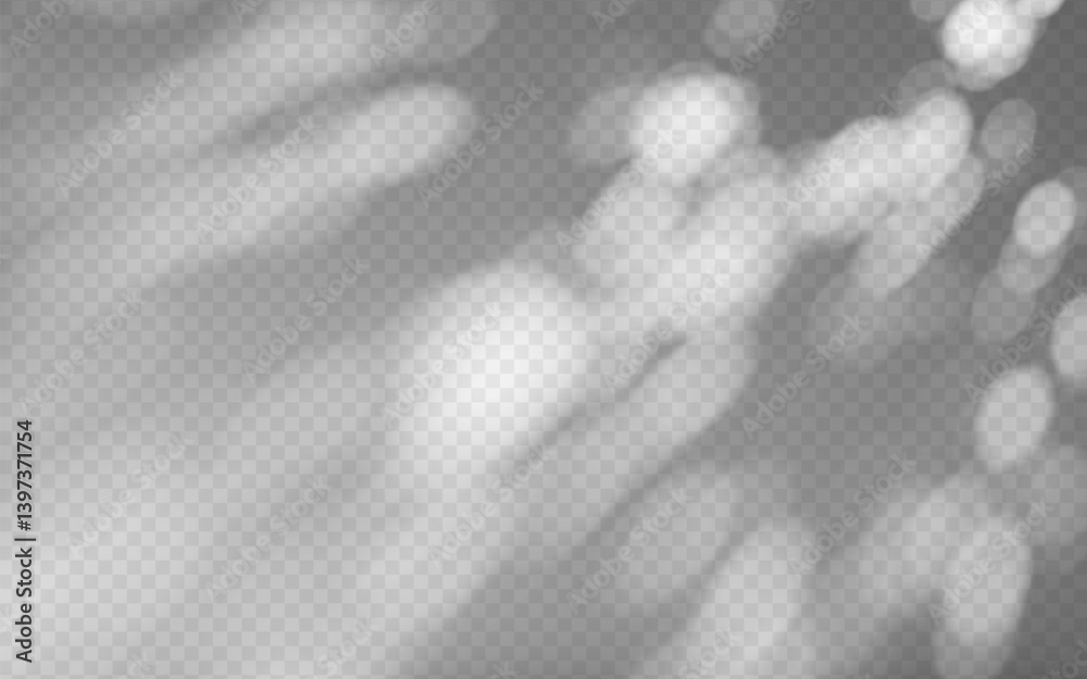 Wall mural abstract shadow overlay from tree branch on a transparent background.