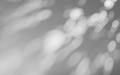 Abstract shadow overlay from tree branch on a transparent background.