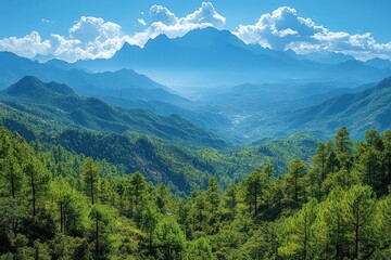 Fototapeta premium Lush valley, vibrant green trees, distant mountains.