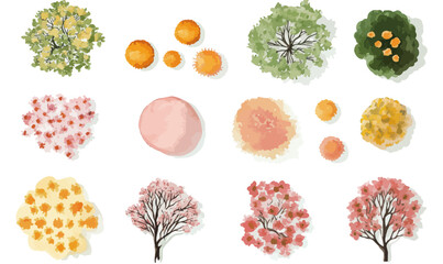 Vector Watercolor Blooming Trees Top View for Landscape and Garden Design