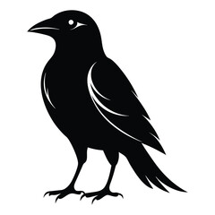 Obraz premium Black crow silhouette, a wild bird illustration on white
