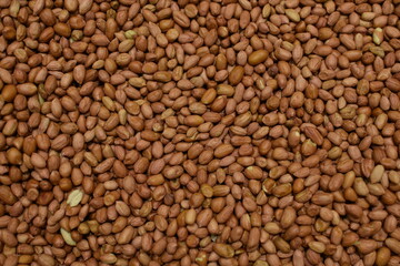 nuts background