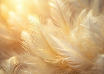 Elegant soft beige feather texture overlay, subtly airy and gentle, perfect for delicate designs.