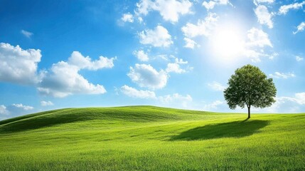 Peaceful landscape bathed in sunlight, a single tree casting a long shadow.