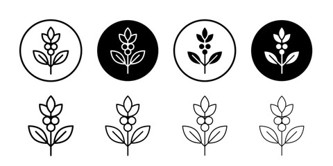 Coffee plant icon Black and white outline vector