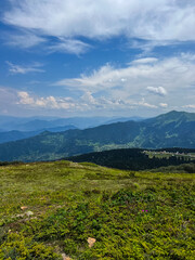 Fototapeta premium Green Alpine meadows with mountain flowers in the background in Adjara, Georgia. Concept of tourism and travel in Georgia, eco tourism and trip to natural outdoor hiking