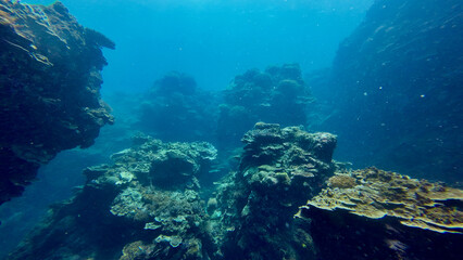 Landscape underwater cliffs. Rock formations underwater. View of rocks, canyons and gorges underwater.