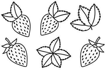 Strawberry Leaf Vector Illustration