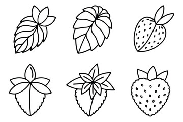 Strawberry Leaf Botanical Drawing
