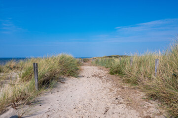 Path through the dunes with fence and beach grass on the North Sea coast