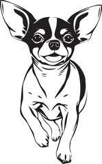 Chihuahua dog . Hand drawn vector illustration	