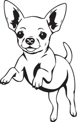 Chihuahua dog . Hand drawn vector illustration	