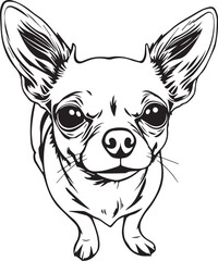 Chihuahua dog . Hand drawn vector illustration	
