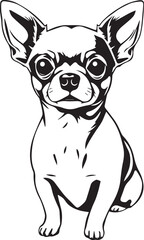 Chihuahua dog . Hand drawn vector illustration	