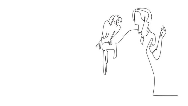 Animation of single one line drawing blue gold macaw parrot perched on hand of woman. Large parrot with long tail feathers. Grain eaters. Pets. Woman Holding Bird. Full length motion