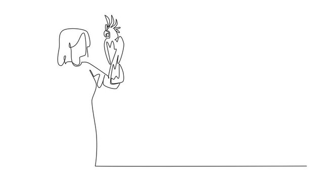 Animated self drawing of continuous one line drawing cockatoo bird perched on hand of woman. The most famous and popular parrot because it has a crest. Pets. Woman Holding Bird. Full length animation