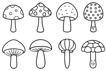 Champignons Recipes For Delicious Gourmet Mushroom Dishes