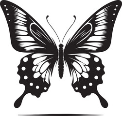 butterfly vector
