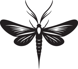Fototapeta premium butterfly vector