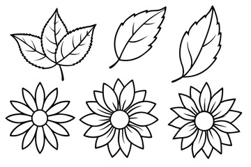 Sunflower Leaf Design Set