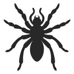 Obraz premium Black Spider Silhouette Graphic Design Element Arachnid Halloween Symbol Illustration Vector