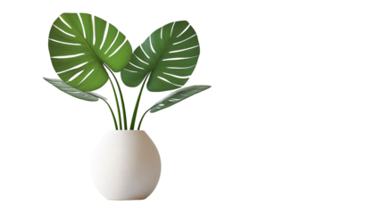 Tropical palm leaf in ceramic vase, minimal design, high-resolution and clean cut, PNG on white