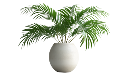 Tropical palm leaf in ceramic vase, minimal design, high-resolution and clean cut, PNG on white