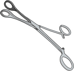 stainless steel whisk