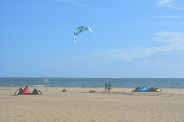Kite surfers enjoy a sunny day at the beach with colorful kites soaring in the sky and ocean waves in the background