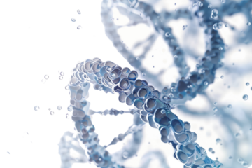 Innovative DNA Art: Transforming Science into Aesthetic Masterpieces Isolated On Transparent Background