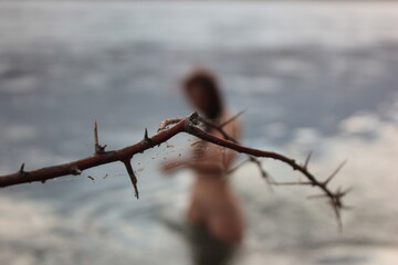 a tree branch in the foreground, and in the background a naked girl standing knee-deep in water