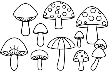 Edible Mushrooms Guide to Identification and Cooking