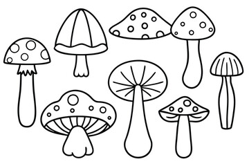 Edible Mushrooms Nutritional Value and Health Benefits