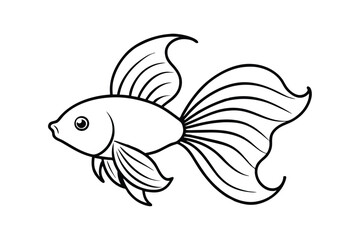 Fototapeta premium A line art drawing of a betta fish.eps