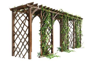 Enchanted Vines: The Beauty of Garden Trellises Isolated On Transparent Background