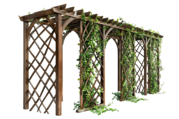 Enchanted Vines: The Beauty of Garden Trellises Isolated On Transparent Background