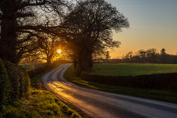 Fototapeta premium Looking along a country road in rural Sussex, with the setting sun behind