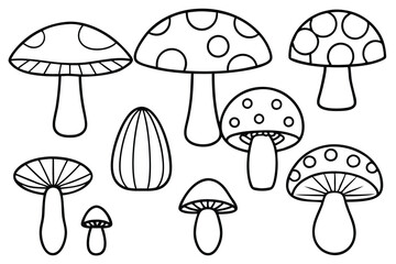 Edible Mushrooms Perfect for Delicious Home Recipes