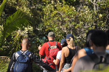 group of people hiking in the forest