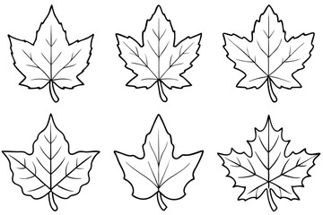 Sycamore Tree Leaf Clip Art