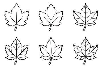 Minimalist Sycamore Leaf Graphics